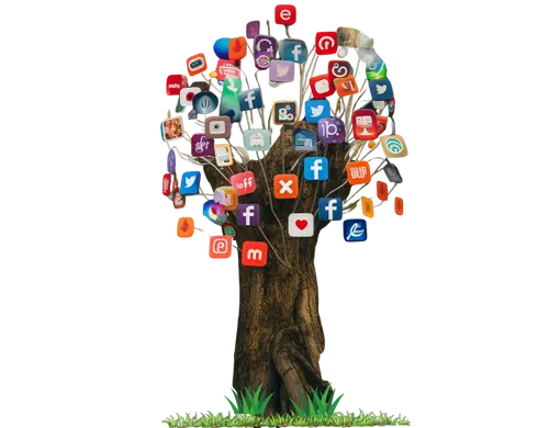 Social-Media-Tree-Network
